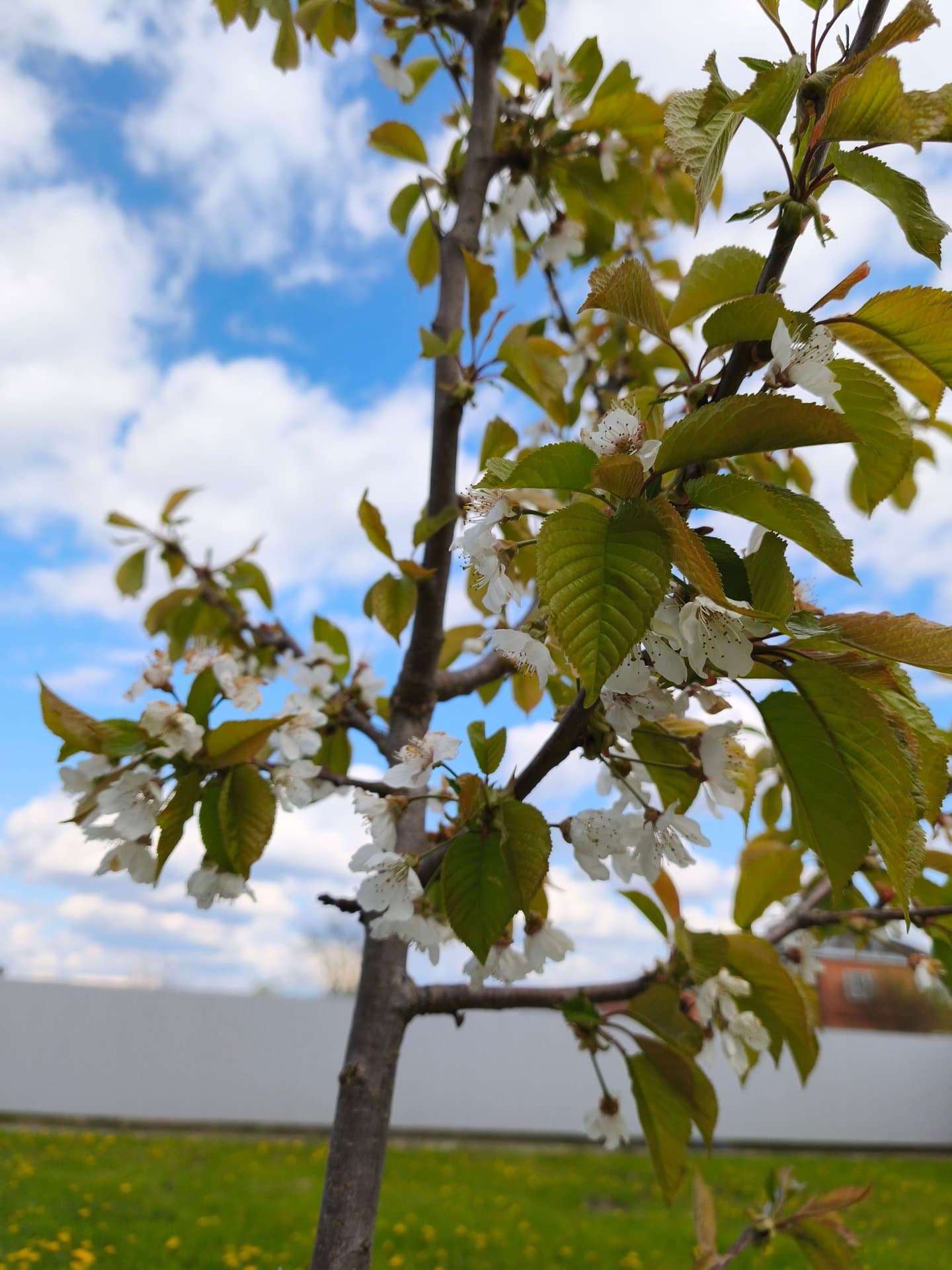 Вип отель - фото 3