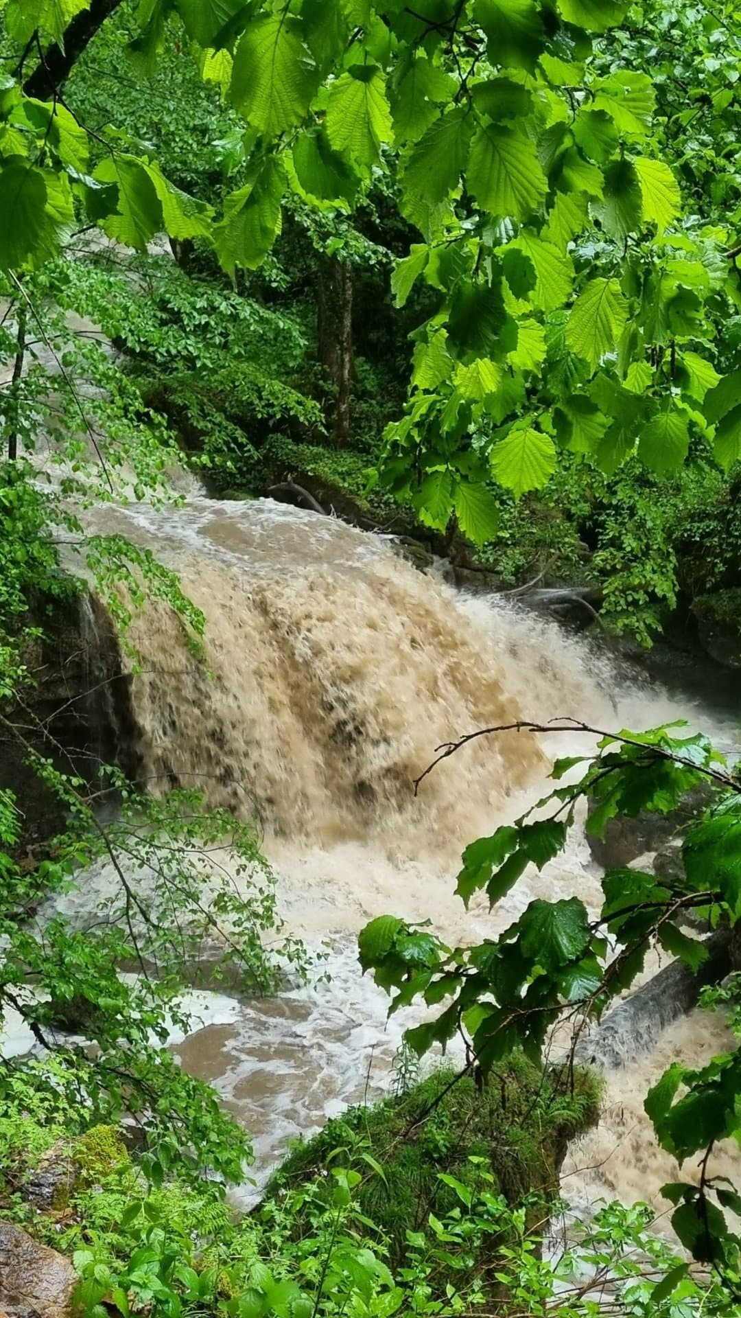 Джипинг к водопадам Университетский, Школьный и Чинарский. - фото 3