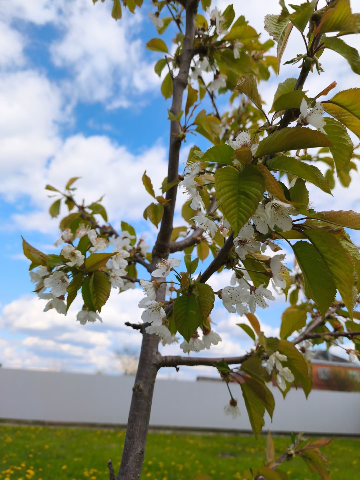 Вип отель - фото 2